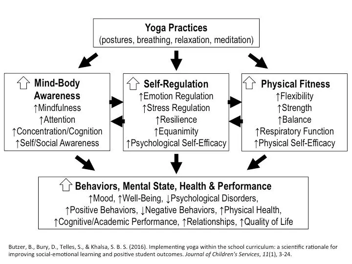 Scientific Evidence for Yoga & Mindfulness in Schools | Yoga 4 Classrooms